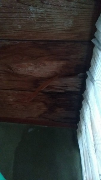 64490-columns2