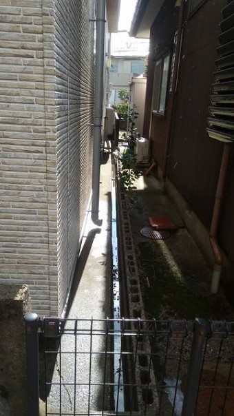 64749-columns2