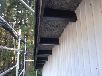 S__41648141-columns2