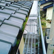 c4aa1bf9517a7a25d8abb348a48a03f6-columns3